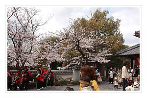 釈迦降誕花祭り・大護摩供養